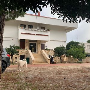 La Casa di Emanuella - Rooms&International Suites